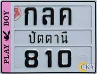 กรอบป้ายกันน้ำรถมอเตอร์ไซค์ ลายเพลย์บอย (play boy)